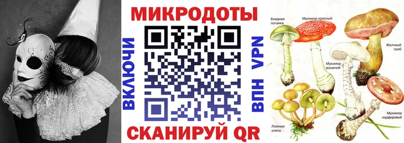 Купить закладки Балей Галлюциногенные грибы Magic Shrooms